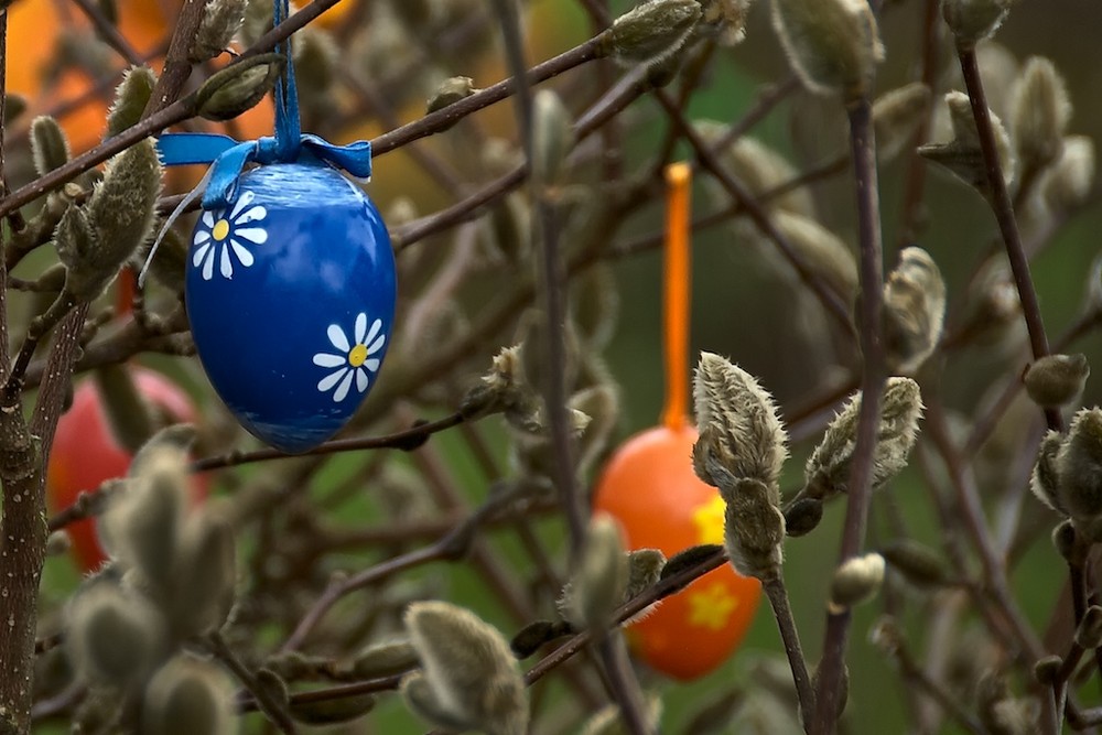 Osterschmuck in blau