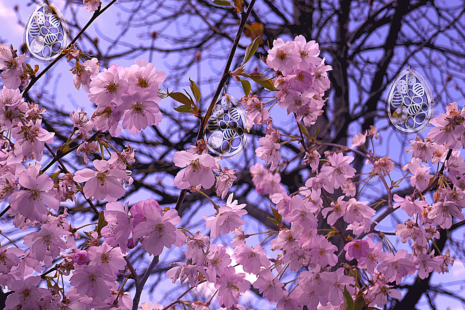 Osterschmuck in rosa Blüten