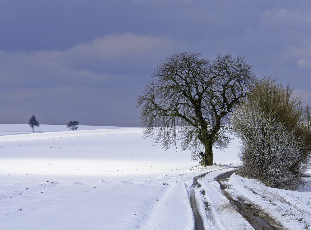 Osterschnee 2008