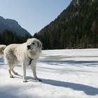 Osterschnee und Frühlingseis