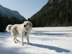 Osterschnee und Frühlingseis