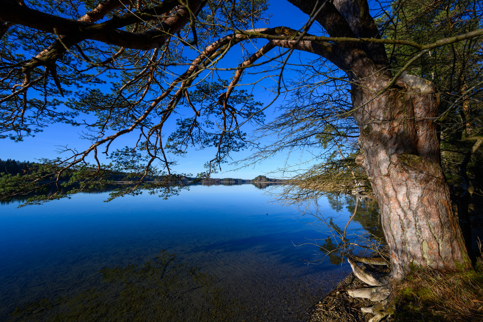 Ostersee