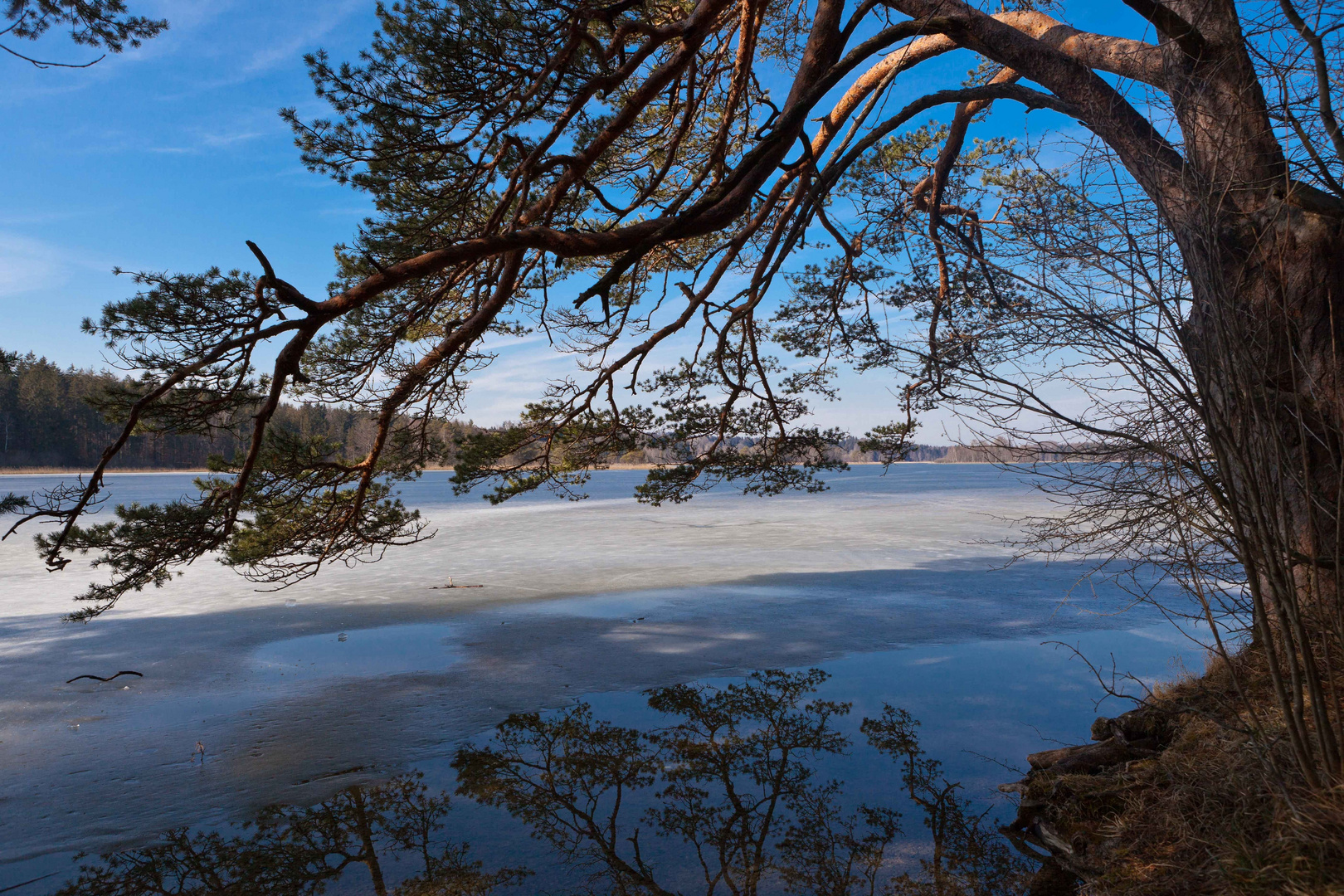 Ostersee Bayern 2012 (Blue/white)