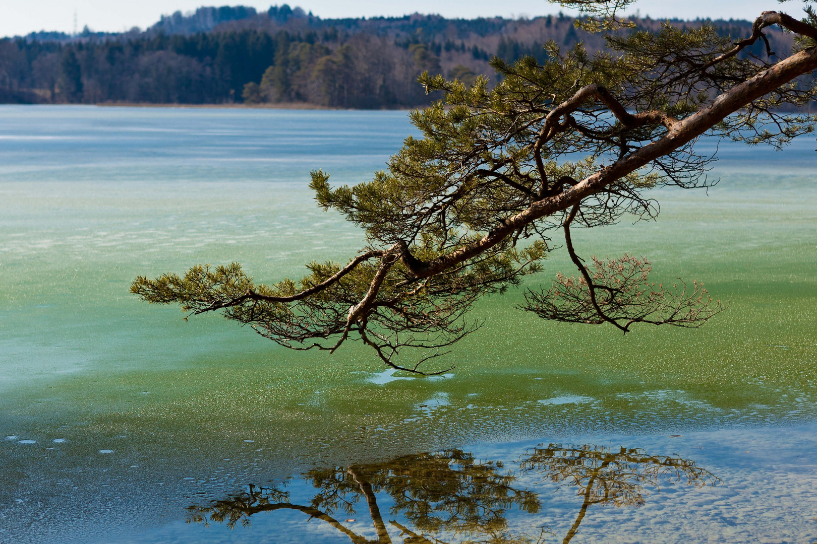 Ostersee Bayern 2012 (Green/Blue)