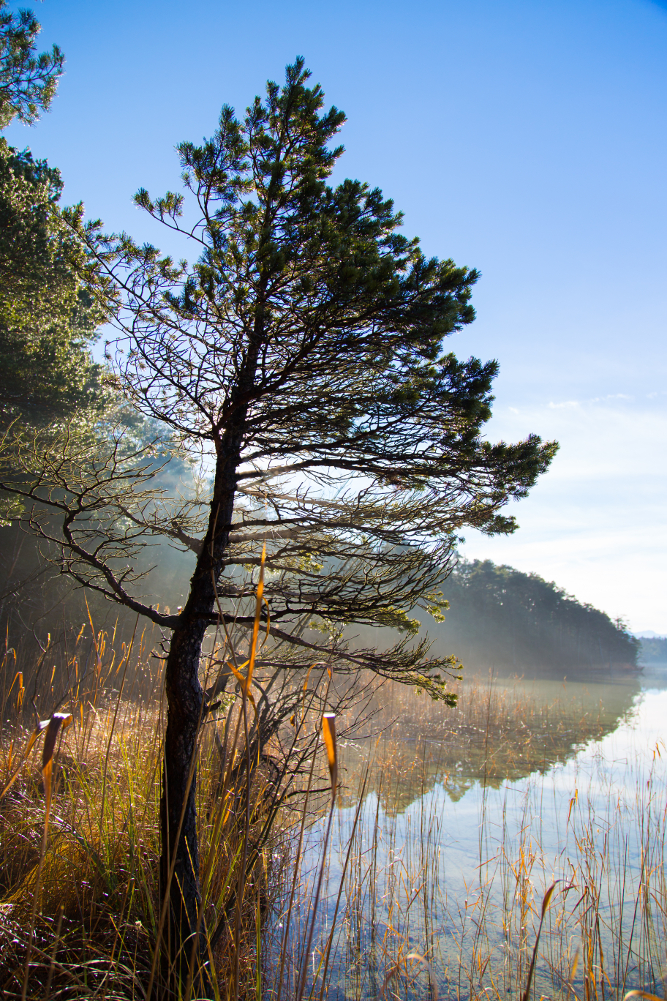 Ostersee Impression ;p