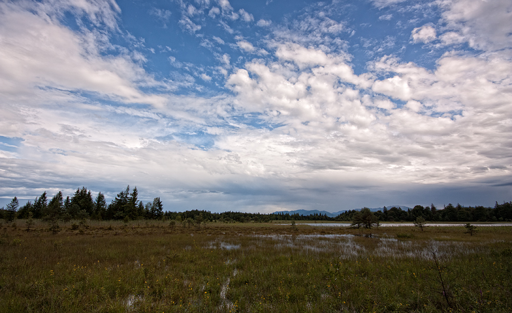 Ostersee Moor