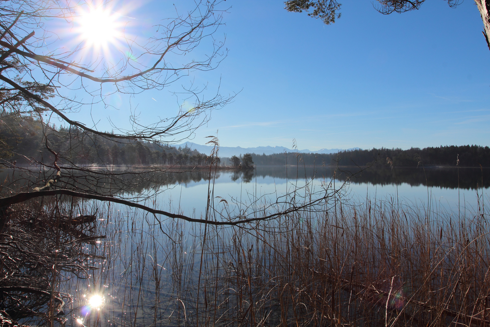 Ostersee - Wintermorgen