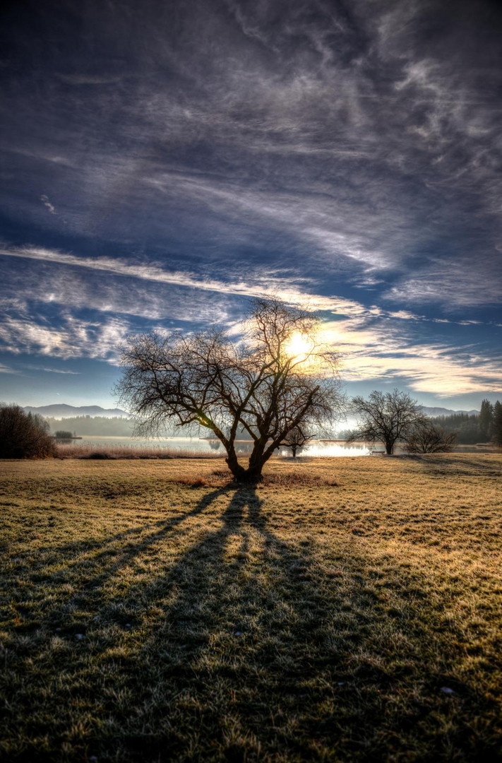 Osterseen - Bäume im Gegenlicht (HDR)