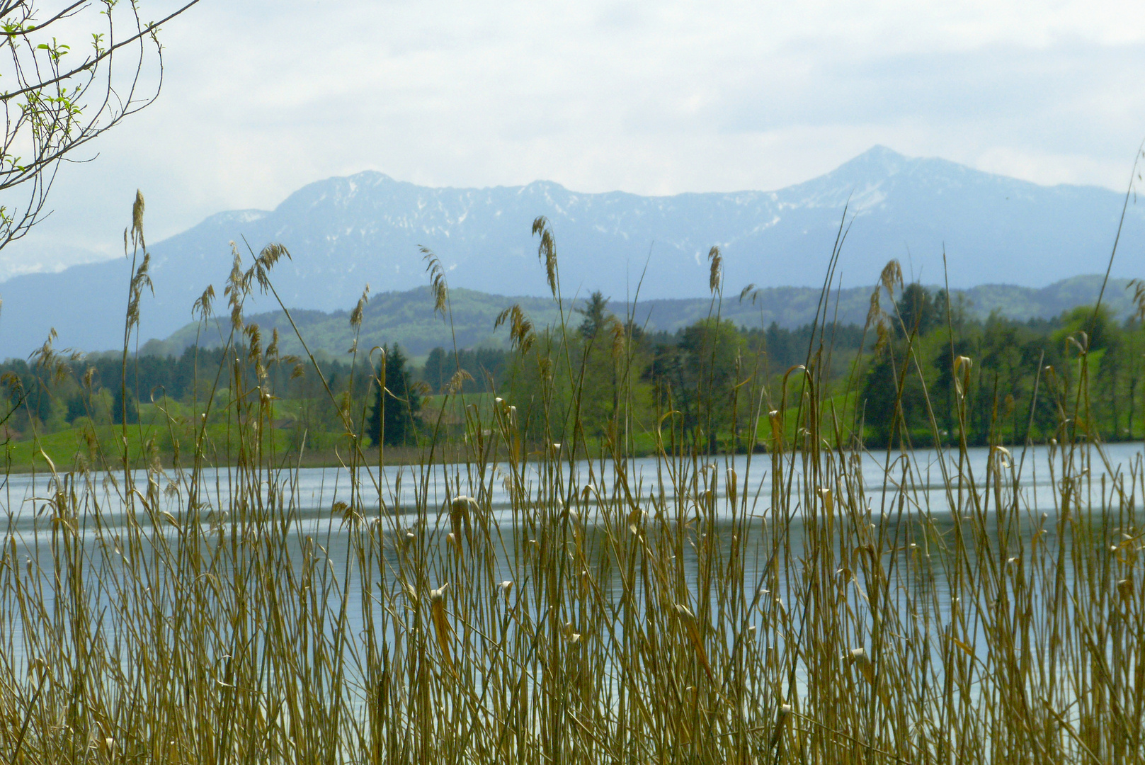 Osterseen im Frühjahr