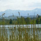 Osterseen im Frühjahr