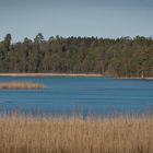 Osterseen im Herbst