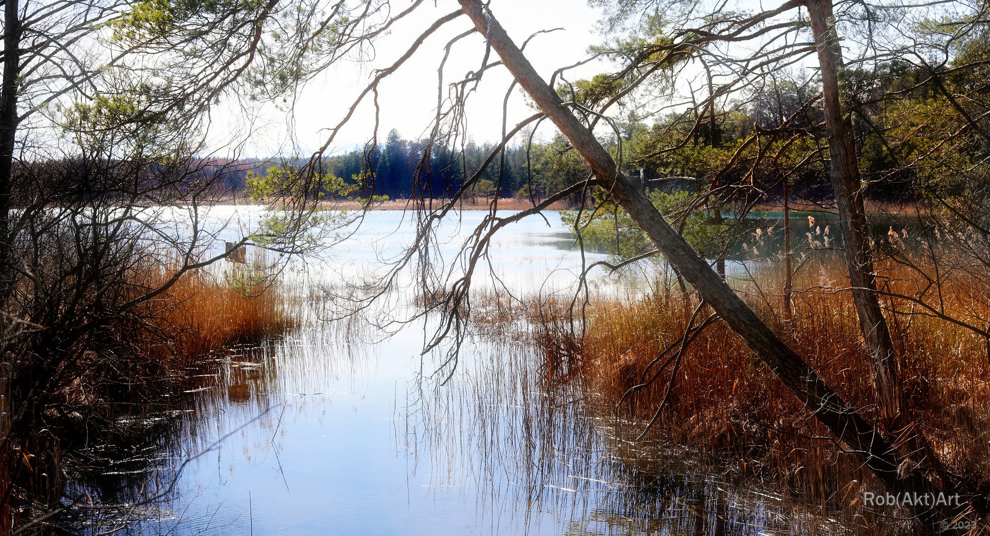 Osterseen im März