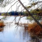 Osterseen im März