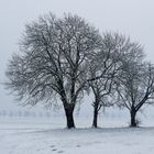 Ostersonntag ,3 Grad minus, leichter Schneefall , 9.30 Uhr