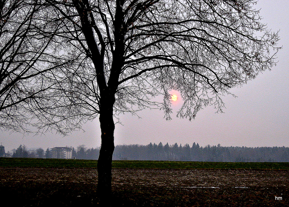 Ostersonntag Abend - die Sonne schaut vorbei!