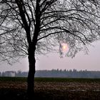 Ostersonntag Abend - die Sonne schaut vorbei!