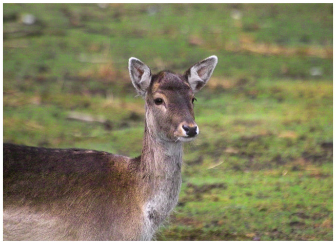 Ostersonntag im Spreewald