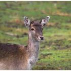 Ostersonntag im Spreewald