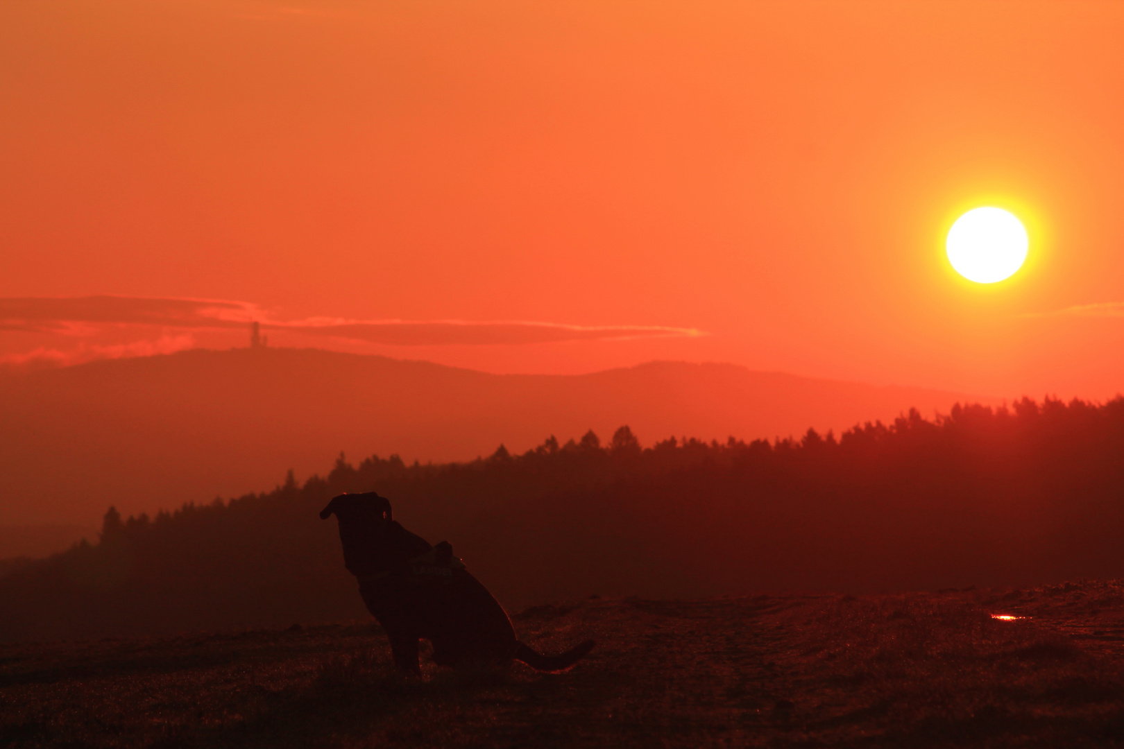 Ostersonntag im Taunus