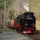 Ostersonntag in Eisfelder Talmühle.