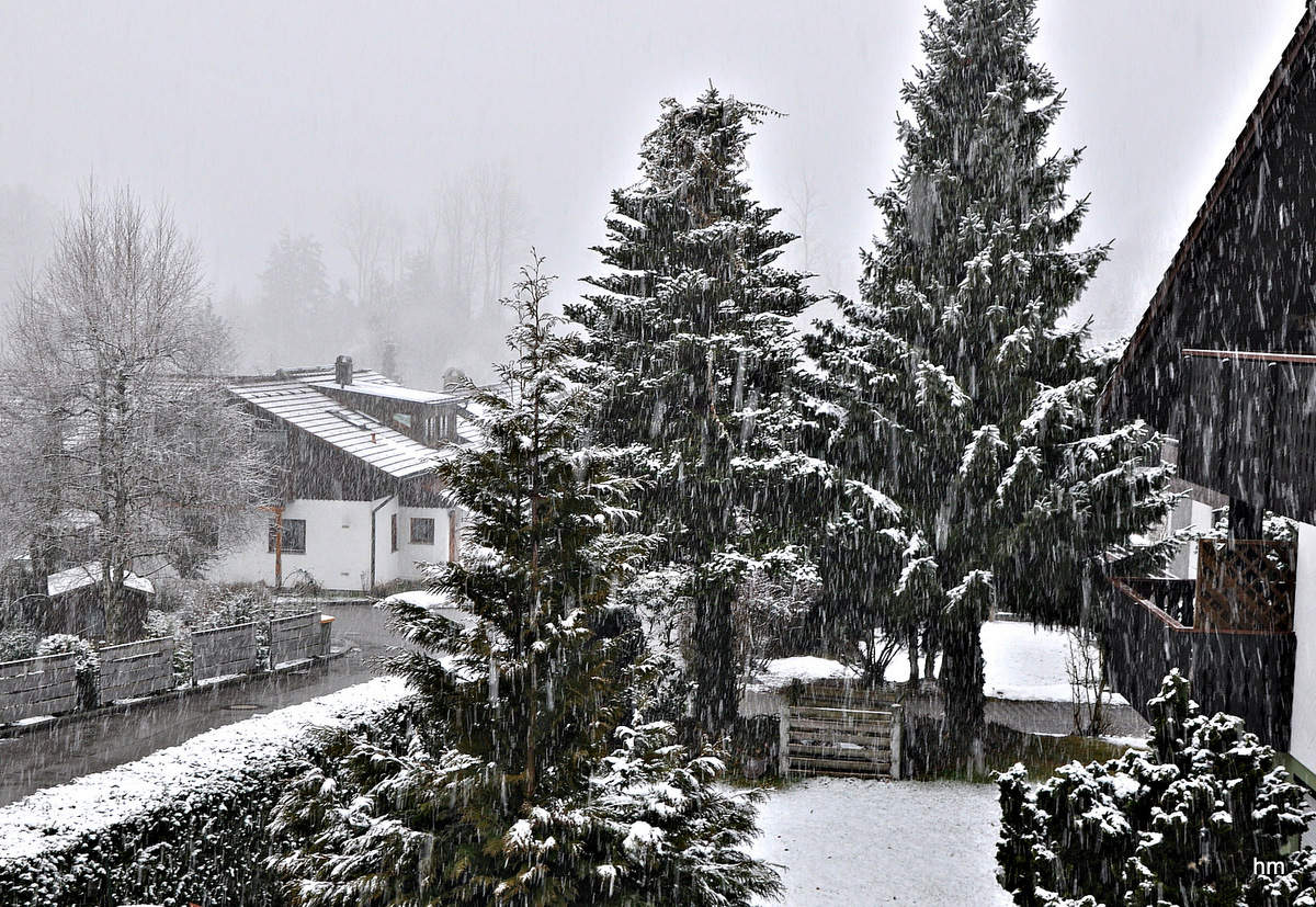 Ostersonntag vom Balkon: Frohe Ostern = FROSTERN  !!!