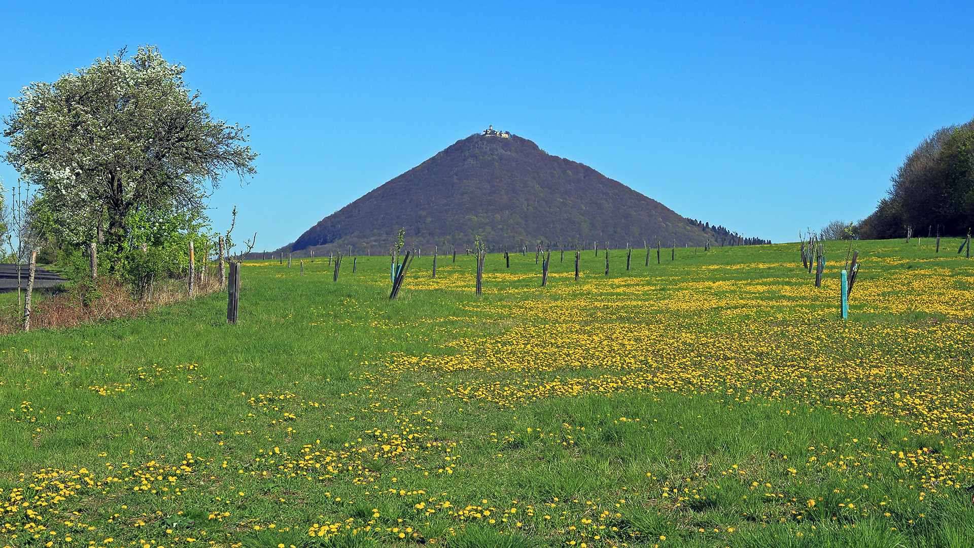 Ostersonntagsfrühling beim Milleschauer (Milesovka)....