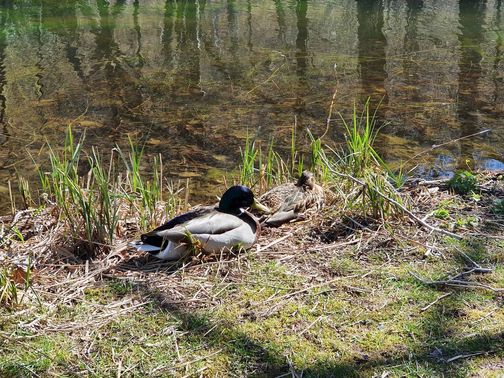 Ostersonntagspaziergang