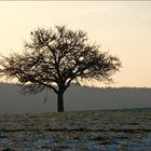 Osterspaziergang 2008