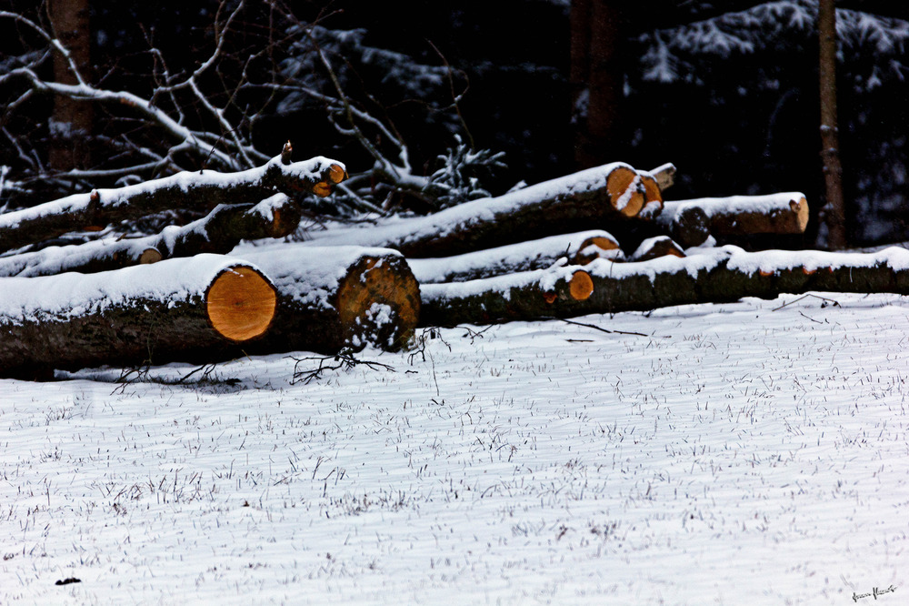 Osterspaziergang 2013