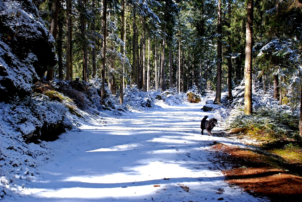 Osterspaziergang