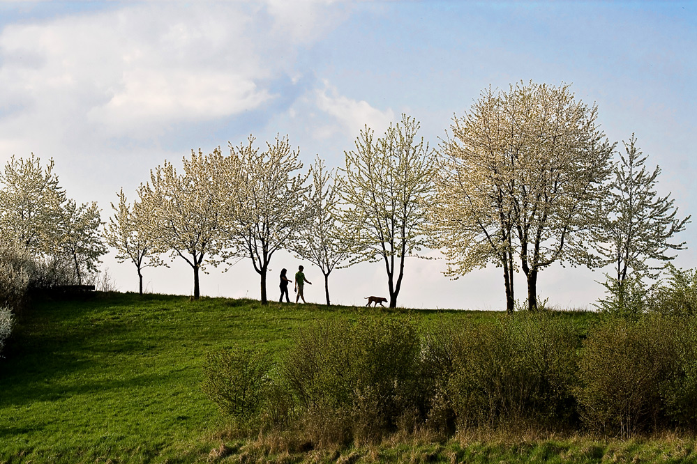 Osterspaziergang