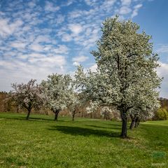 Osterspaziergang