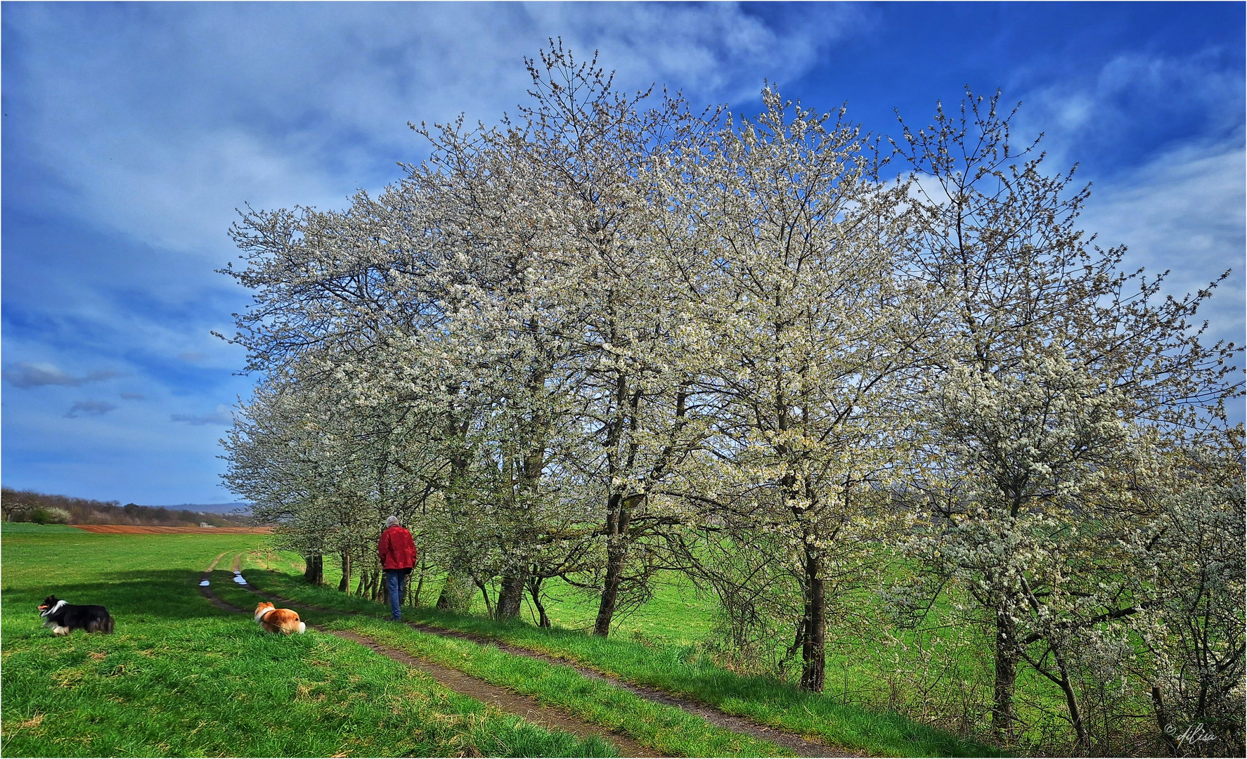 Osterspaziergang