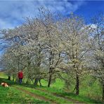 Osterspaziergang