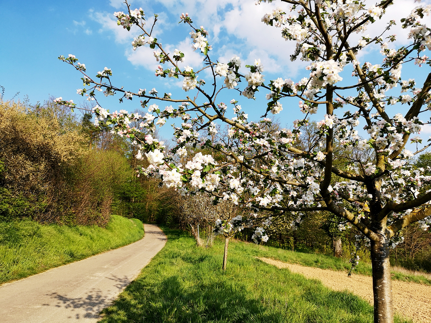 Osterspaziergang