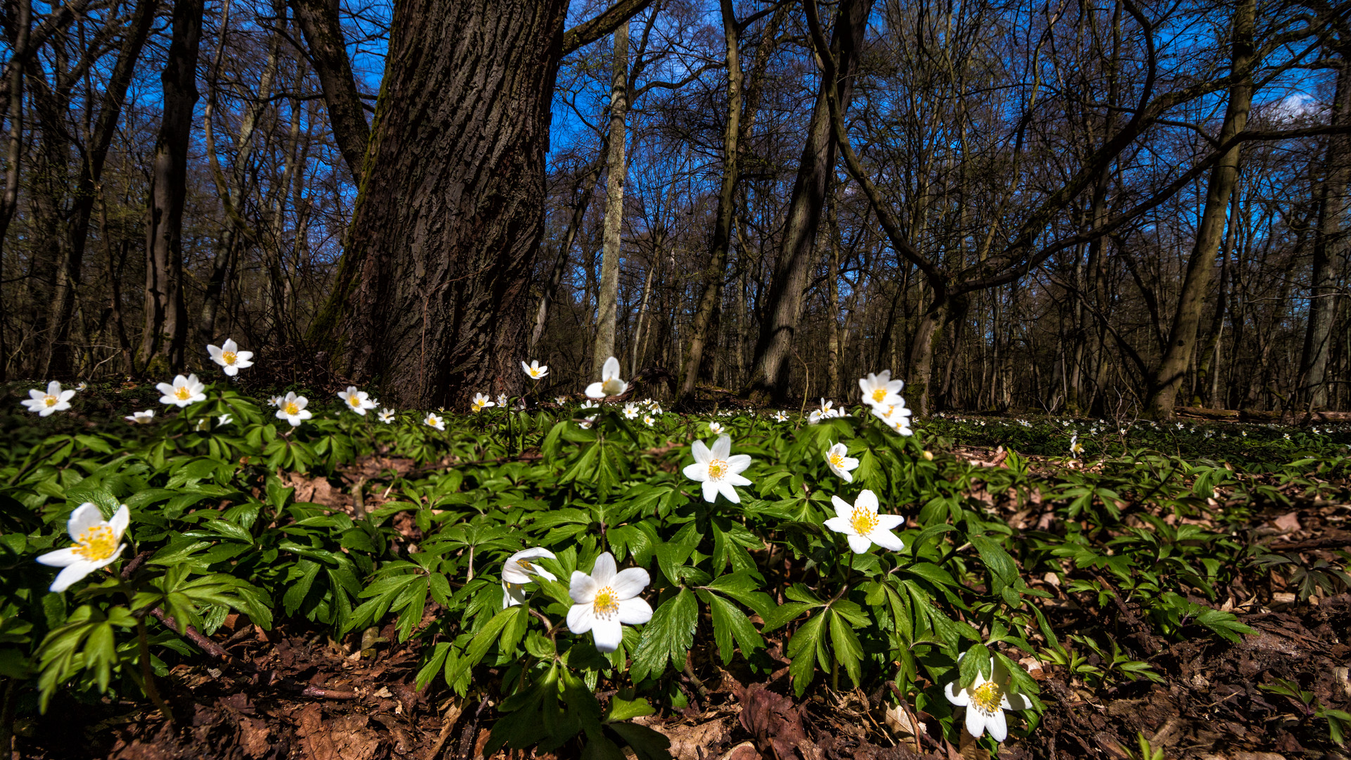 Osterspaziergang