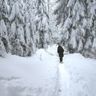 Osterspaziergang am Mehliskopf