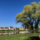  Osterspaziergang an der Elbe -zum Spiegeltag -