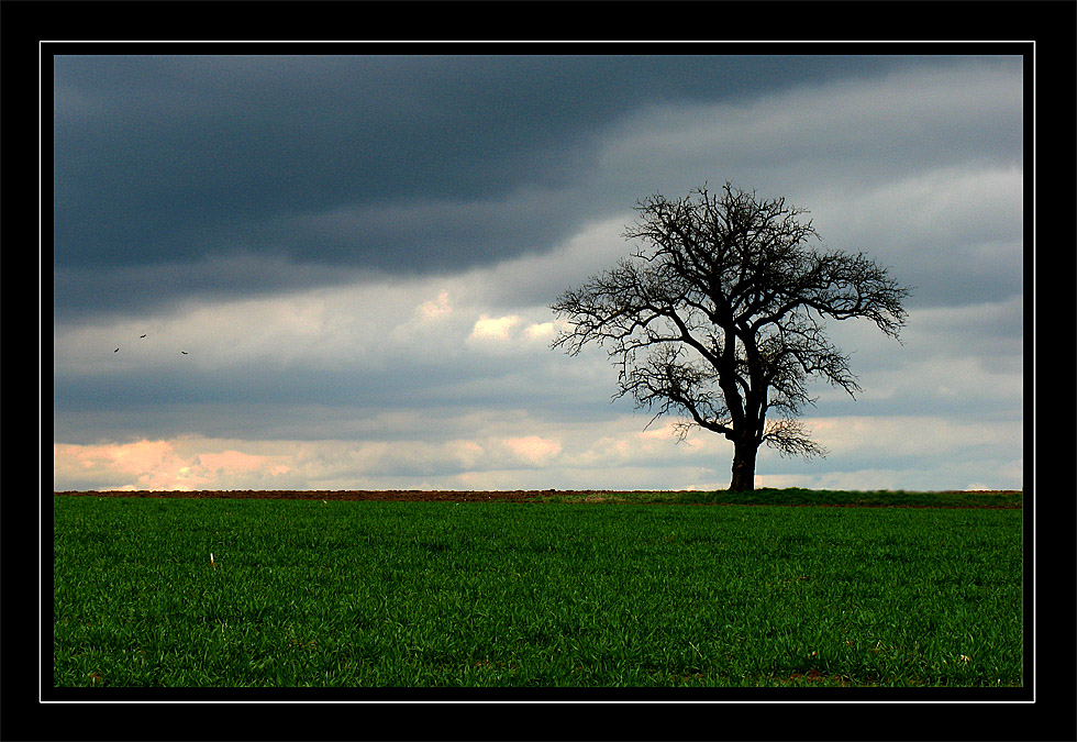 Osterspaziergang