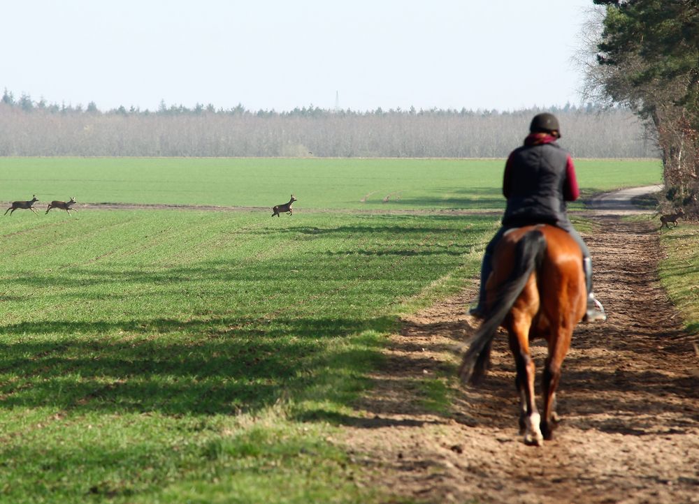 Osterspaziergang...