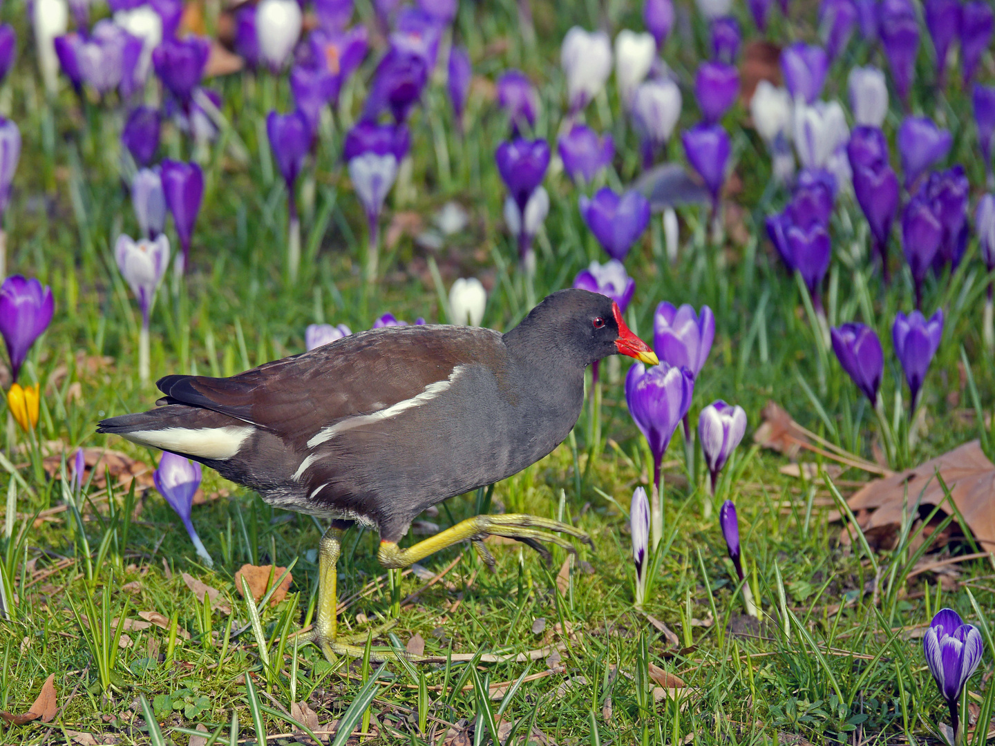 Osterspaziergang