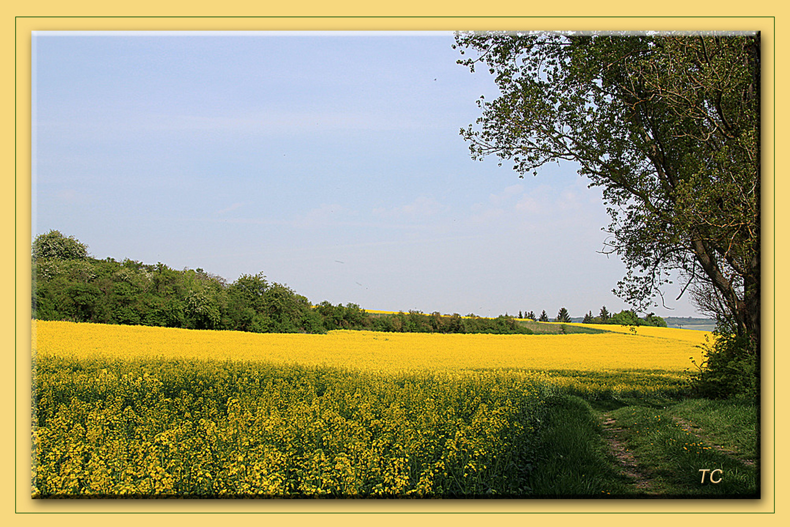 OSTERSPAZIERGANG