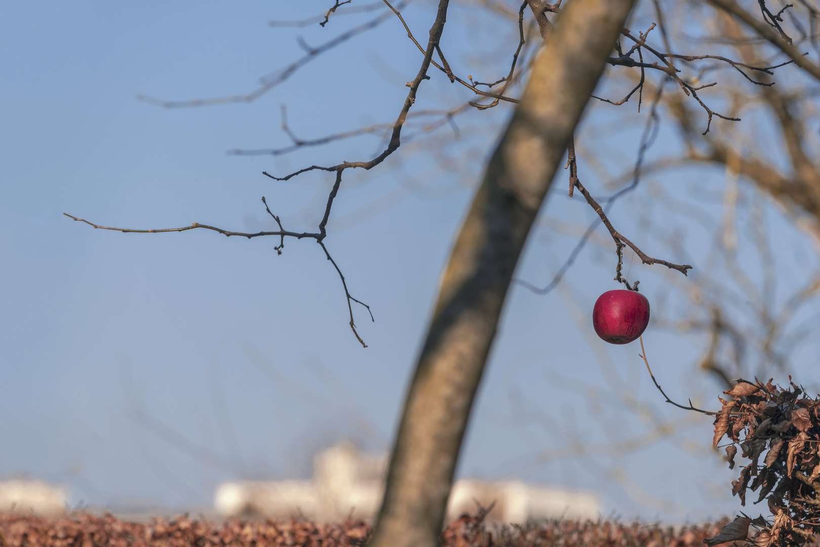 Osterspaziergang. Der alte Winter, in seiner Schwäche...