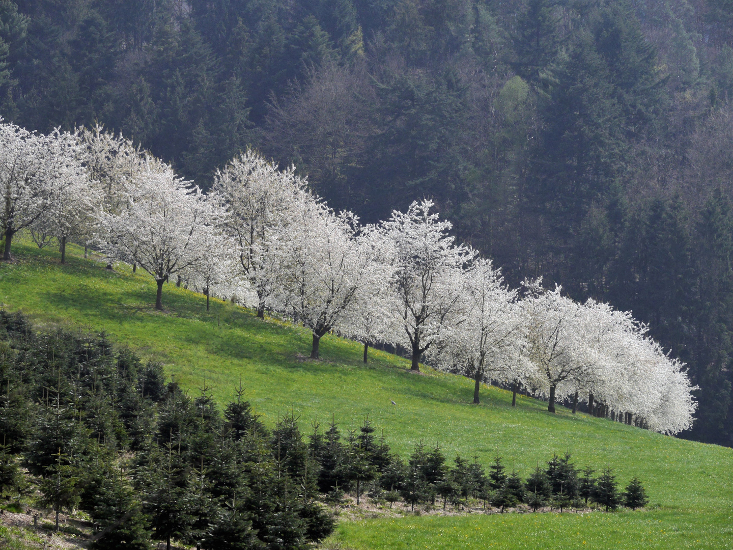 Osterspaziergang