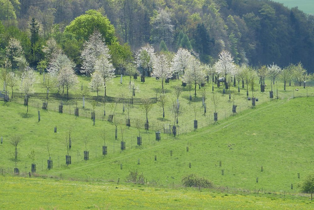 Osterspaziergang