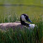 Osterspaziergang im Botanischen Garten München