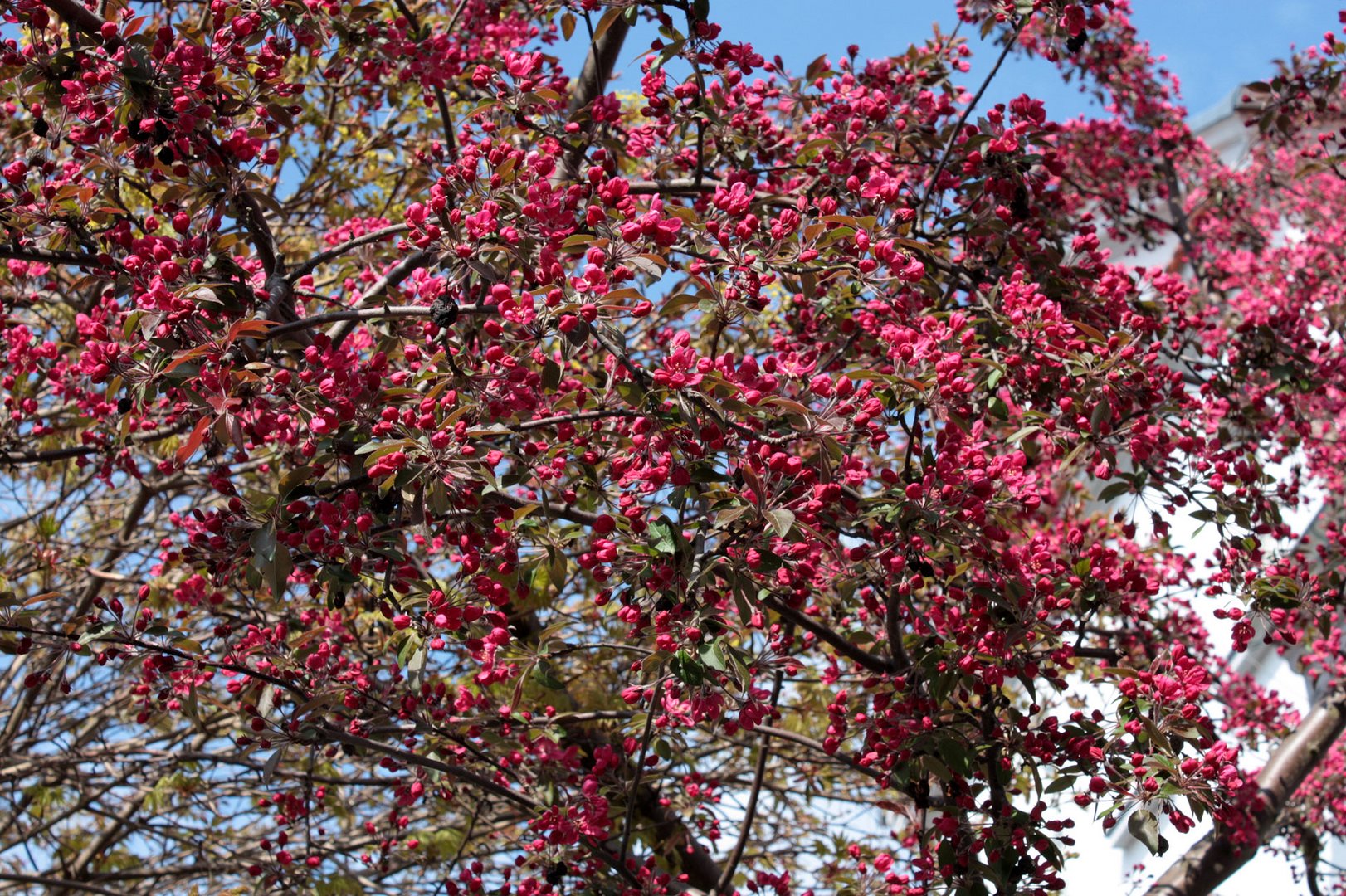 Osterspaziergang im Schlossgarten