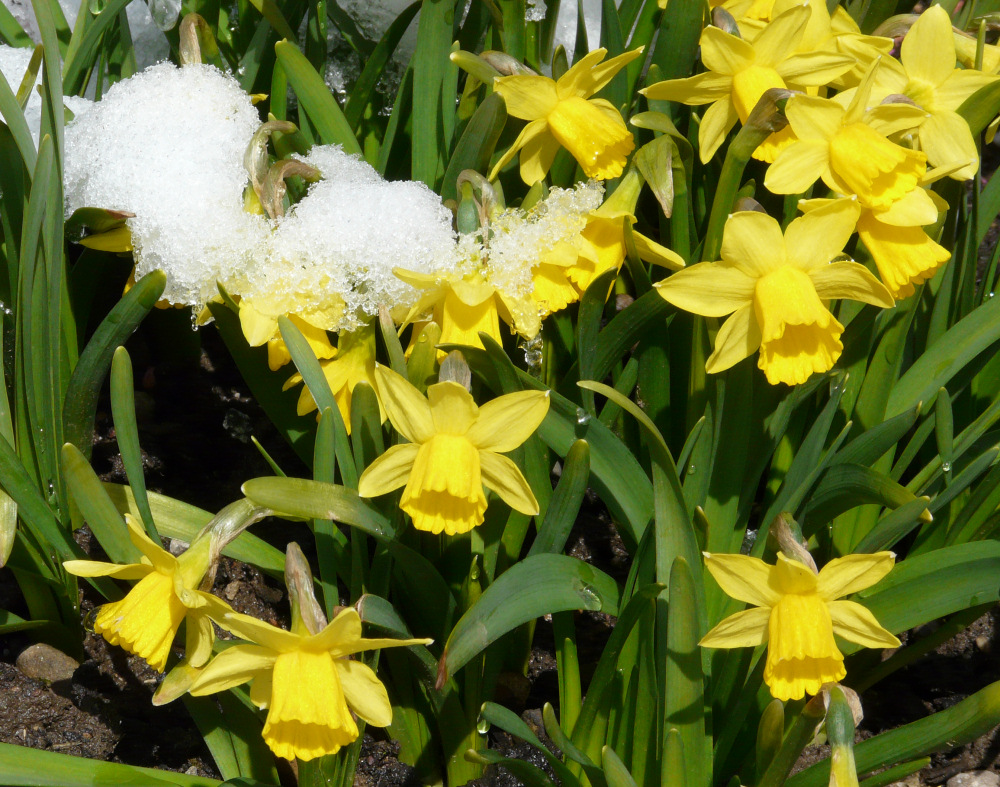 Osterspaziergang - im Schnee