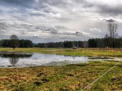 Osterspaziergang im Wildpark SCHORFHEIDE