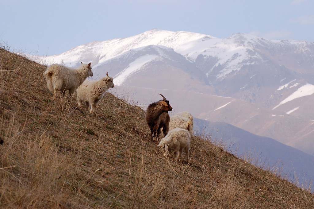 Osterspaziergang in Chon Kemin